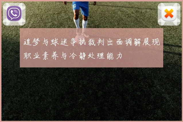 追梦与球迷争执裁判出面调解展现职业素养与冷静处理能力