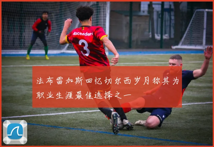 法布雷加斯回忆切尔西岁月称其为职业生涯最佳选择之一